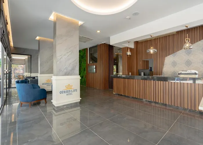 Gurses Life 4*